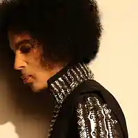 Picture for song 'RIP PRINCE SAMPLE' by artist 'Isaac James and B.L.C Camp'
