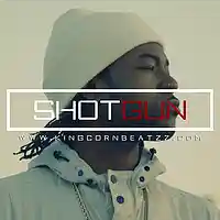 Picture for song 'Shotgun (PARTYNEXTDOOR Type Beat)' by artist 'AYOCXRN (Formerly King Corn Beatzz)'