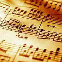 Picture for song 'Top ' by artist 'Refined Harmonics'