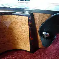 Picture for song 'Canine Pursuit' by artist 'Viking Blues'