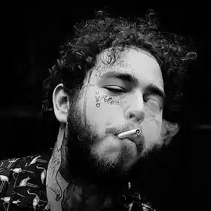 Picture for song 'DIE YOUNG *Post Malone*' by artist 'XXXMAKEITBOUNCE'