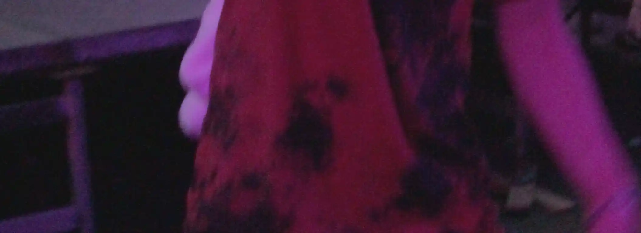 cover pic