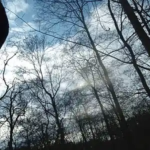 Picture for song '20240129_151940_fs' by artist '786 scheint-Al'lahs Bande'