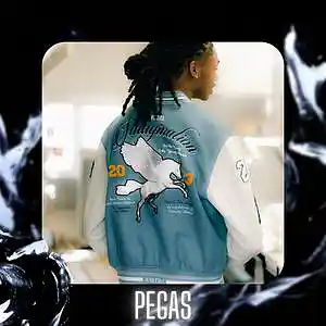 Picture for song '"Pegas" Rio Da Yung Og & Babyfxce E Type Beat' by artist 'D V 1 R V E R S BEATS'