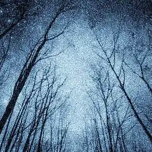 Picture for song 'Lonely (BUY 1 GET 4 FREE)' by artist 'Inside Sky'