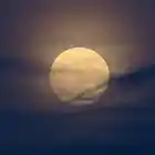 Picture for song 'MOONLIGHT (Free D/L)' by artist 'kamillabeats'