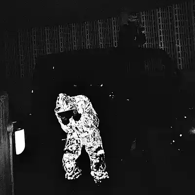 cover pic