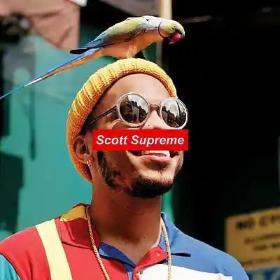 Picture for song '*NEW* PLAY WITH MY HEART (BUY 1 GET 1 FREE)' by artist 'Scott Supreme'