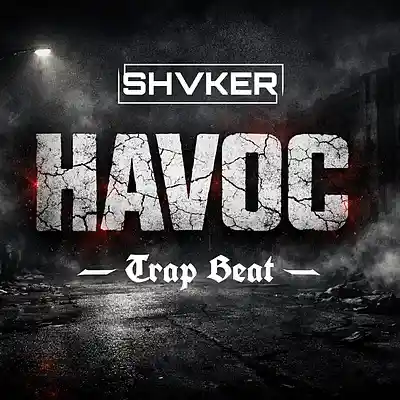 Picture for song 'HAVOC' by artist 'shvker beats'