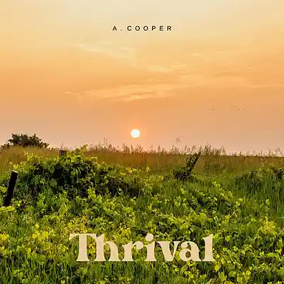 Picture for song 'Thrival' by artist 'A. Cooper'