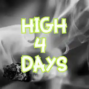Picture for song 'High 4 Days' by artist 'Anac On The Beat'