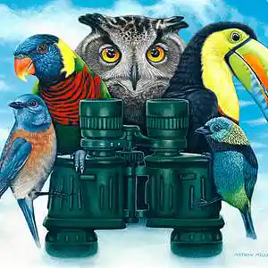 Picture for song 'Bird Watching' by artist 'Black Chalk'