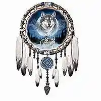 Picture for song 'dreamcatcher' by artist 'dennis solinger'