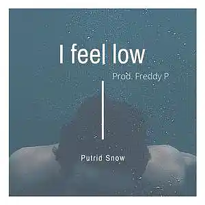 Picture for song 'Putrid - I feel low Prod. Freddy P' by artist 'DamnThatsYouFreddy'