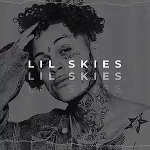 Picture for song '*FREE* Lil Skies x Juice WRLD Type Beat - Risk' by artist 'LuxuryBeats'