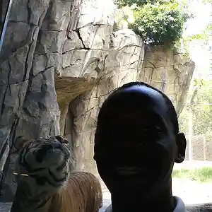 Picture for song 'Watching his cash flow' by artist 'Ningadragonrecords'