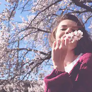 Picture for song 'Strawberry' by artist 'P.R Beats'