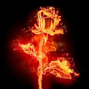 Picture for song 'Sad Boom Bap beat "Fire"' by artist 'Puls Ever'