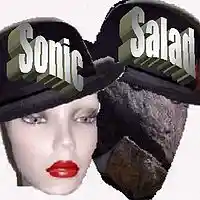 Picture for song 'Mr. Kidney Stone meets Diva' by artist 'The Sonic Salad'