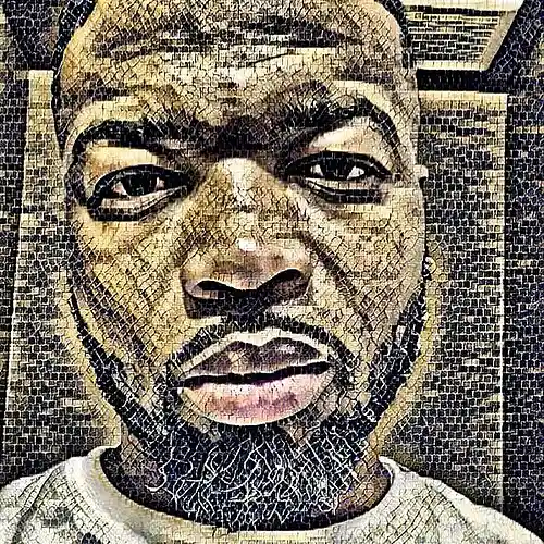 Artist picture