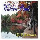 Picture for song 'Eclipse' by artist 'D E Farmer'