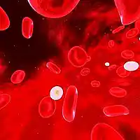 Picture for song 'De strijd van de Eosinofielen' by artist 'Jammer59'