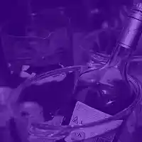 Picture for song '(NEW) bottle service' by artist 'LEXI BANKS'