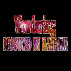 Picture for song 'Wondering (Makgame Original Mix)' by artist 'Makgame'