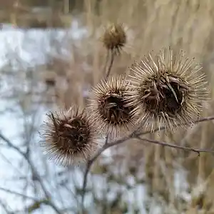 Picture for song 'Die Psychologische Manipulation Der Massen' by artist 'Restsound'