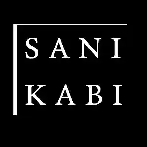 Picture for song 'Sani Kabi - Blow' by artist 'SaniKabi'