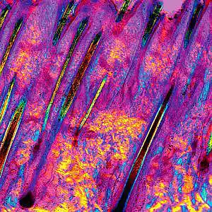 Picture for song 'bro&bra' by artist 'sygorm'