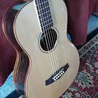 Picture for song 'Stuck in DADGAD Blues' by artist 'Viking Blues'