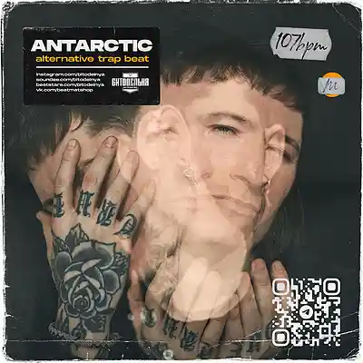 Picture for song 'Antarctic 2' by artist 'BITODELNYA'