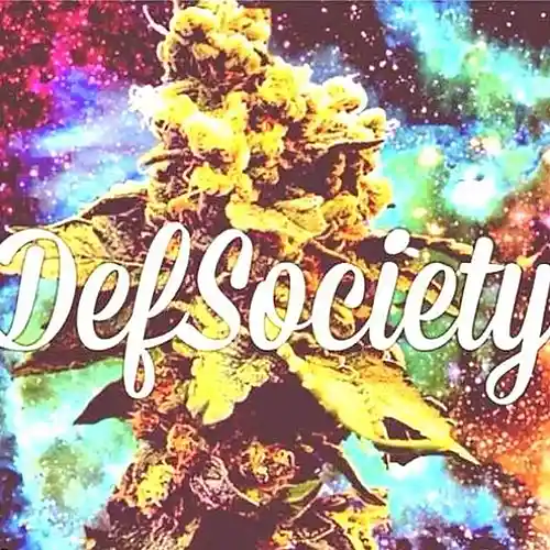 cover pic