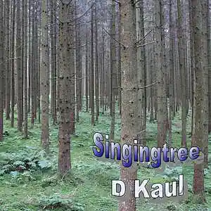 Picture for song 'The last Dance' by artist 'KAUL'