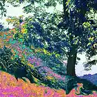 Picture for song 'Back to Spring Sold Out' by artist 'Milesg2g'