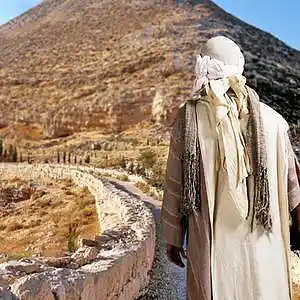 Picture for song '2 Sons Part-3' by artist 'Rick Smerage'