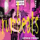 Picture for song 'Rumbeats (crazy cowbell mix)' by artist 'SpeedTribe'
