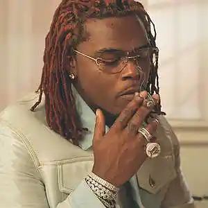 Picture for song 'GUNNA "COBRA"' by artist 'storm on da beat'