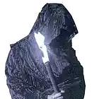 Picture for song 'Gregorian Jazz Chant' by artist 'The Electric Cow Bell Project'