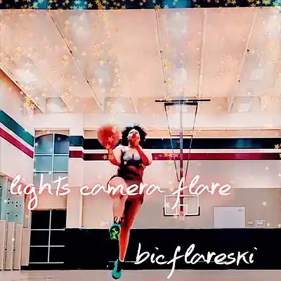 Picture for song 'BoomTown' by artist 'WildB01BicFlare'