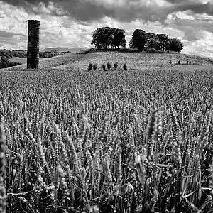 Picture for song '12-Granja sentimental' by artist 'axako'