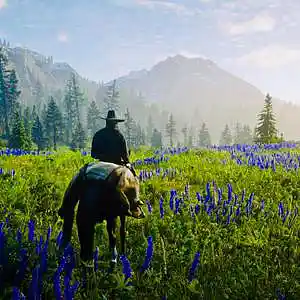 Picture for song 'Comfort Cruisin’' by artist 'Brad Holmes'