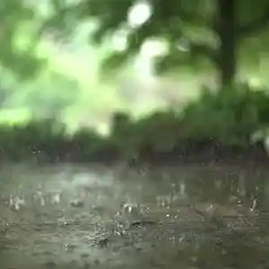 Picture for song 'Slow Motion (Instrumental)' by artist 'Denzlo'