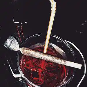 Picture for song 'Fujunbutsu - B!tch' by artist 'Fujunbutsu'