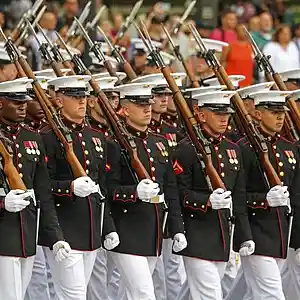 Picture for song 'Marching Orders' by artist 'Pete Moss and the Weed Wackers'