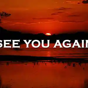 Picture for song 'See You Again' by artist 'SadGlad Music'