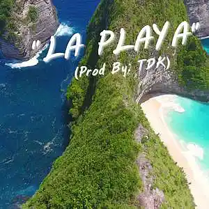 Picture for song 'LA PLAYA (ISLAND VIBES) GOOD VIBES' by artist 'TDK'