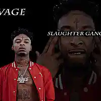 cover pic