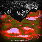 Picture for song 'Scrap of life' by artist 'Tommaso Busatto'